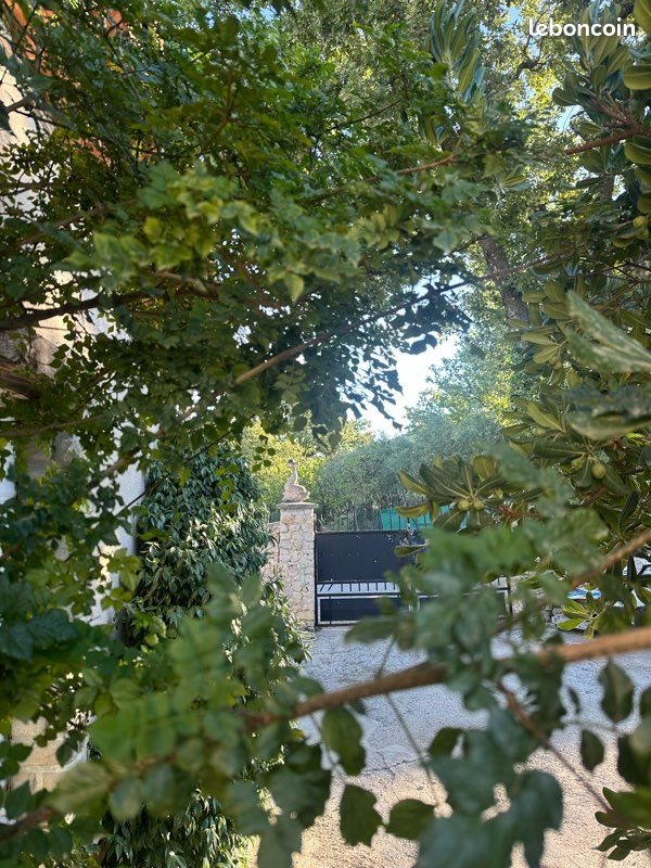 Maison à louer, 45m², Rocbaron