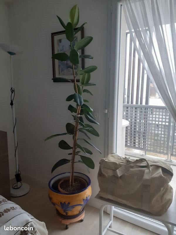 Appartement à vendre, 41m², Ris-Orangis