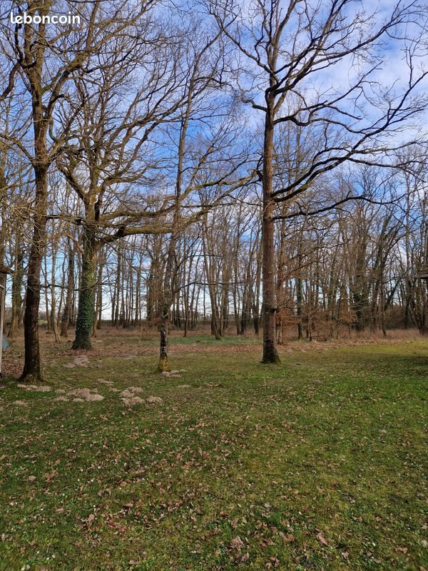 Maison à vendre, 208m², Villemer