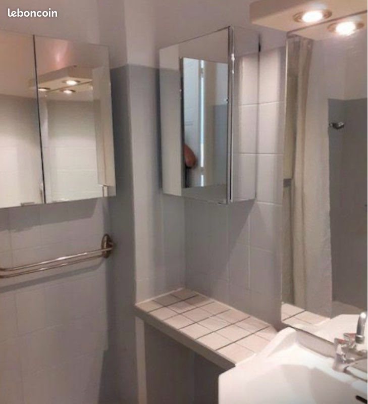 Appartement à louer, 50m², Lyon 3ème