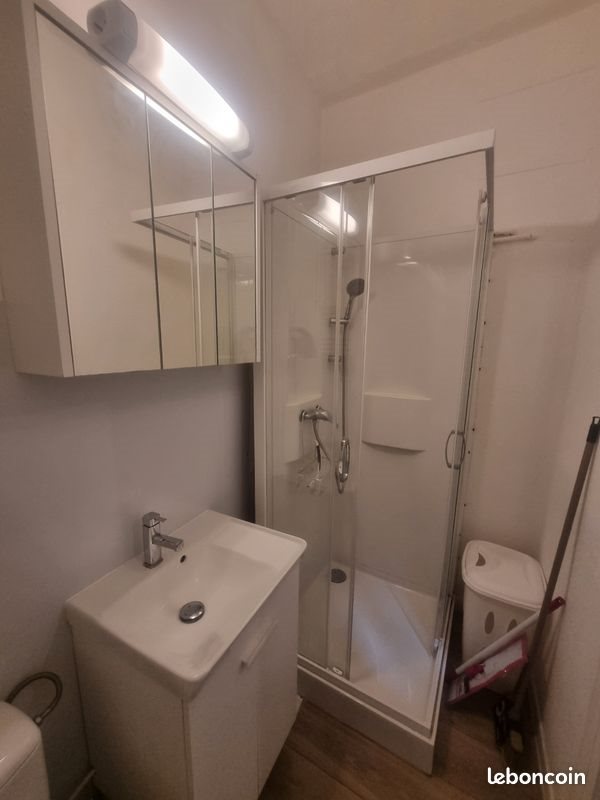 Appartement à louer, 20m², Le Puy-en-Velay