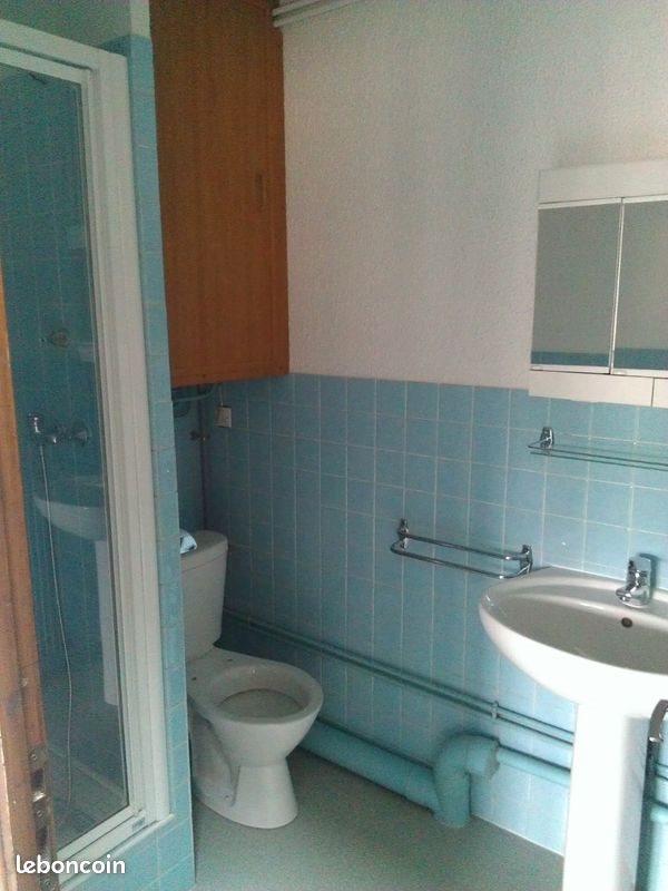 Appartement à louer, 29m², Nancy