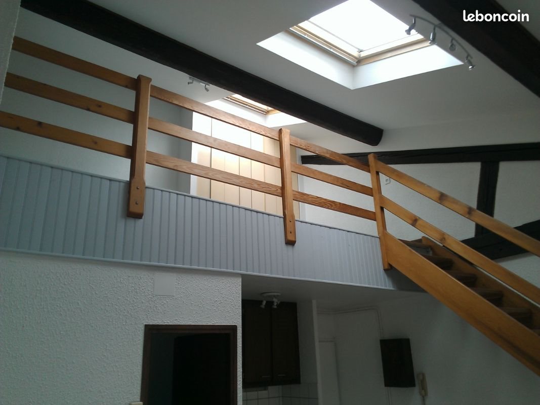 Appartement à louer, 29m², Nancy