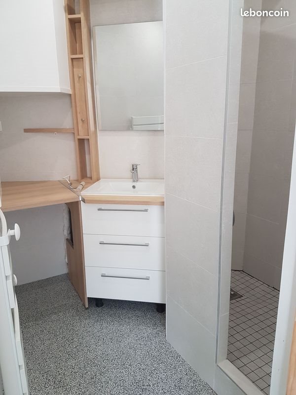 Appartement à louer, 43m², Saint-Etienne