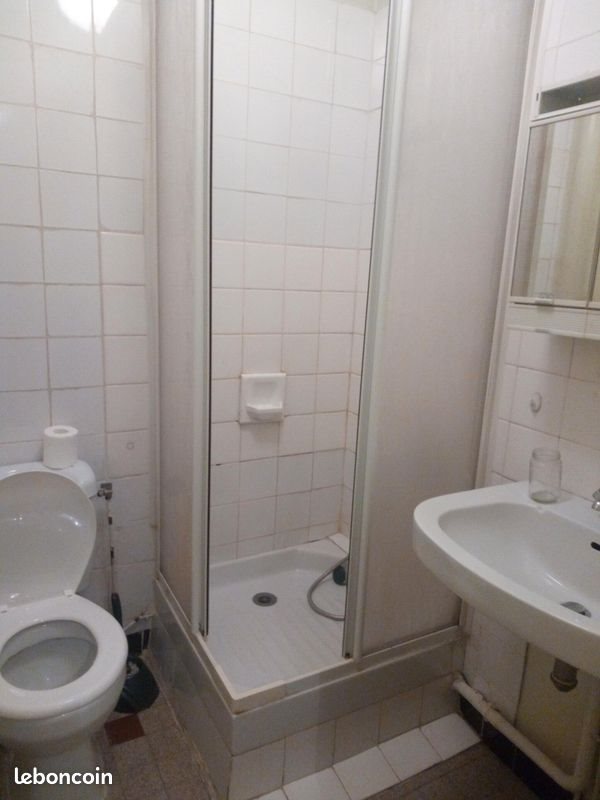 Appartement à louer, 30m², Saint-Étienne