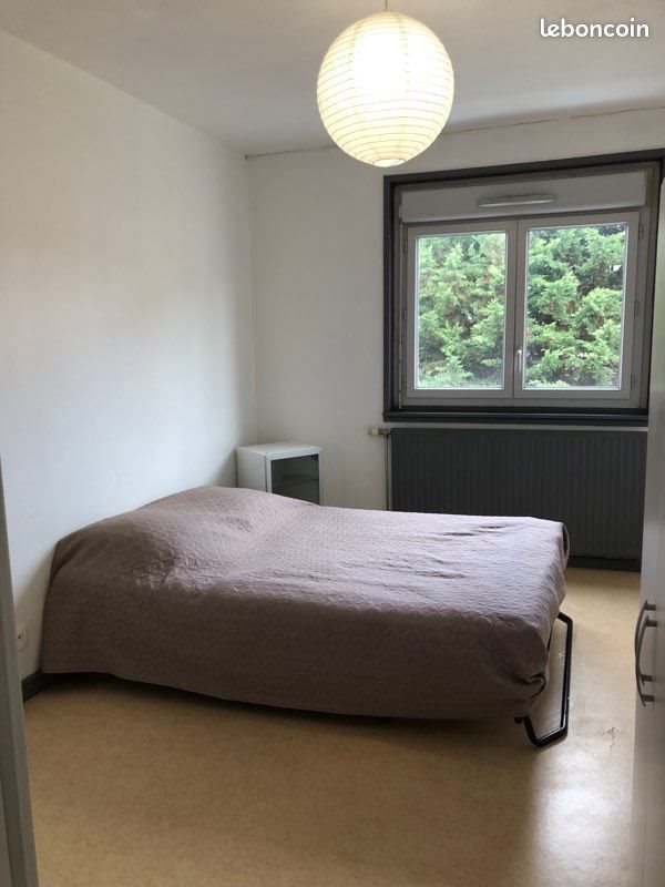 Appartement à louer, 50m², Roanne