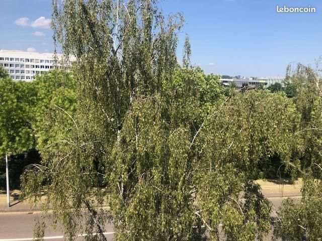 Appartement à vendre, 39m², Strasbourg