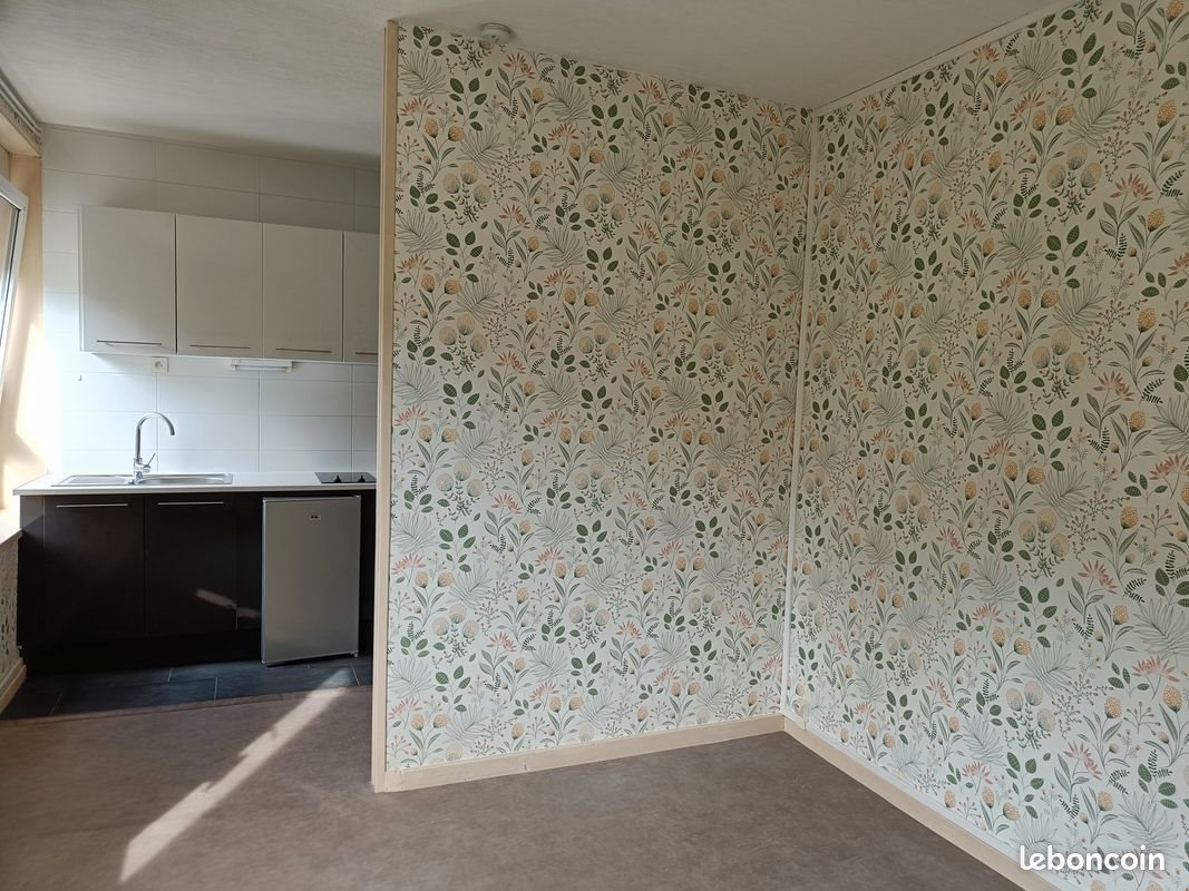 Appartement à louer, 23m², Nancy