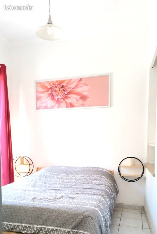 Appartement à louer, 25m², Castelnau-le-Lez