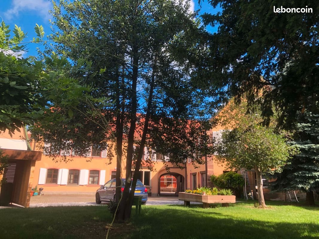 Appartement à louer, 50m², Molsheim