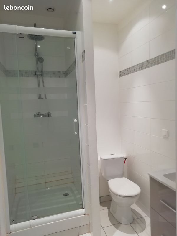 Appartement à louer, 34m², Saint-Etienne