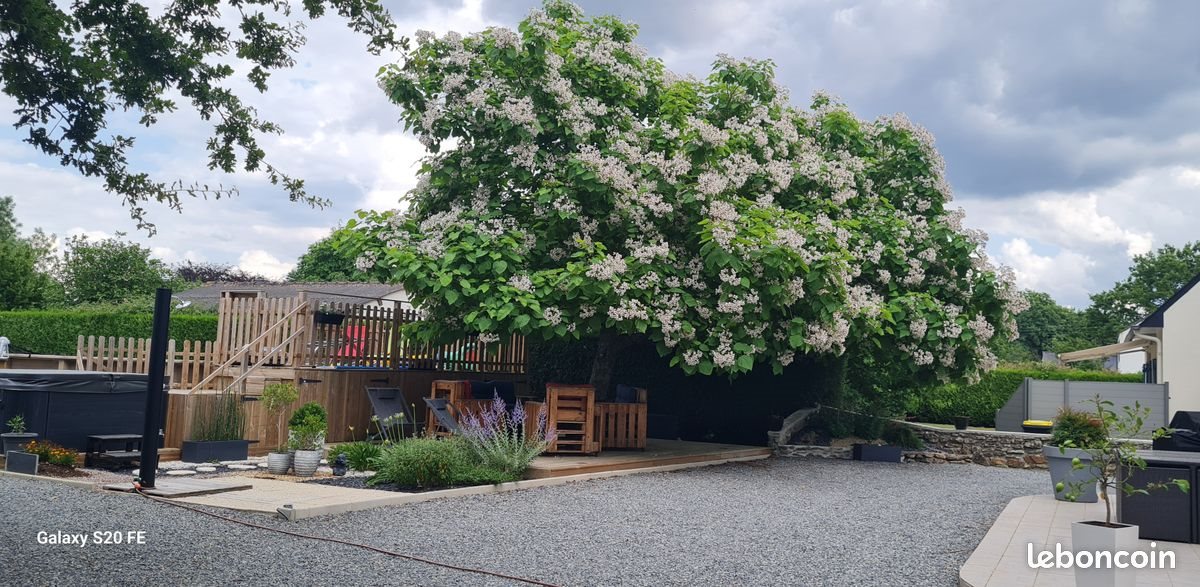 Maison à vendre, 180m², Missillac