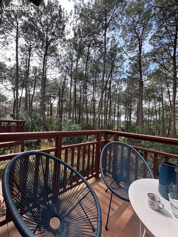 Appartement à louer, 44m², Lacanau
