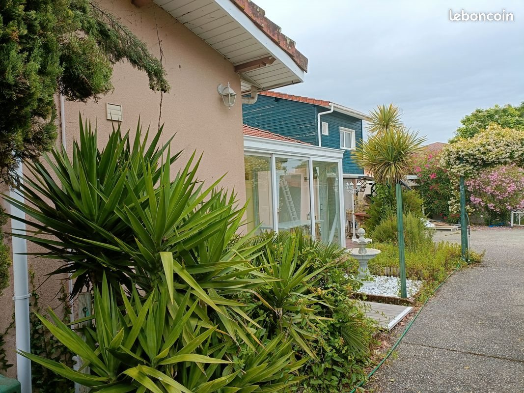 Maison à louer, 184m², Gujan-Mestras