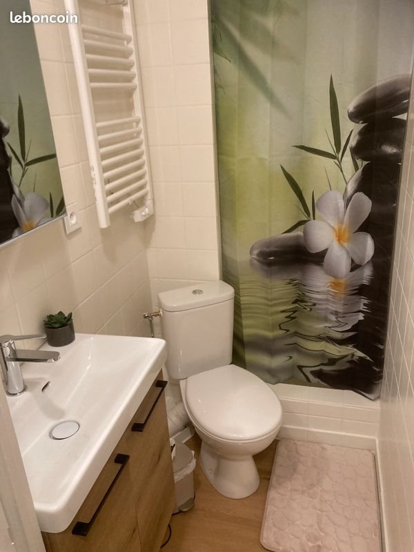 Appartement à louer, 27m², Altkirch