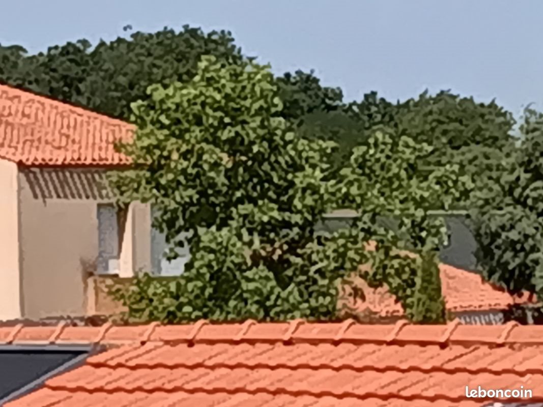 Appartement à vendre, 33m², Challans