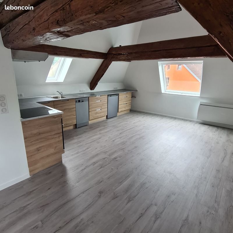 Appartement à louer, 37m², Rothau