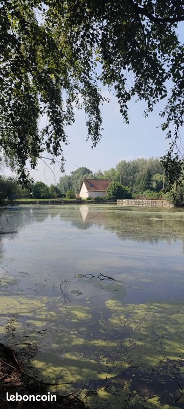 Maison à vendre, 100m², Balinghem