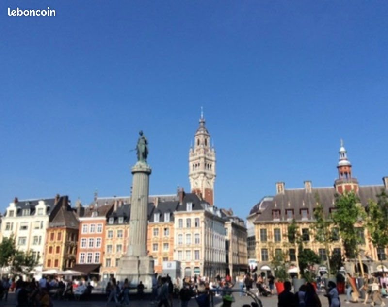 Appartement à louer, 43m², Lille