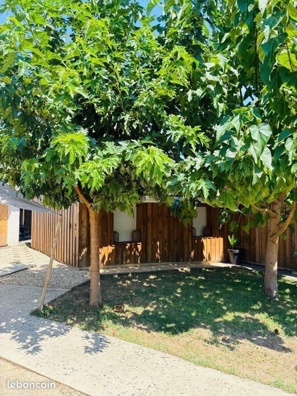 Appartement à louer, 19m², Villenave-d'Ornon