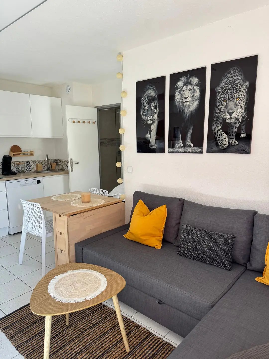 Appartement à louer, 26m², Frontignan