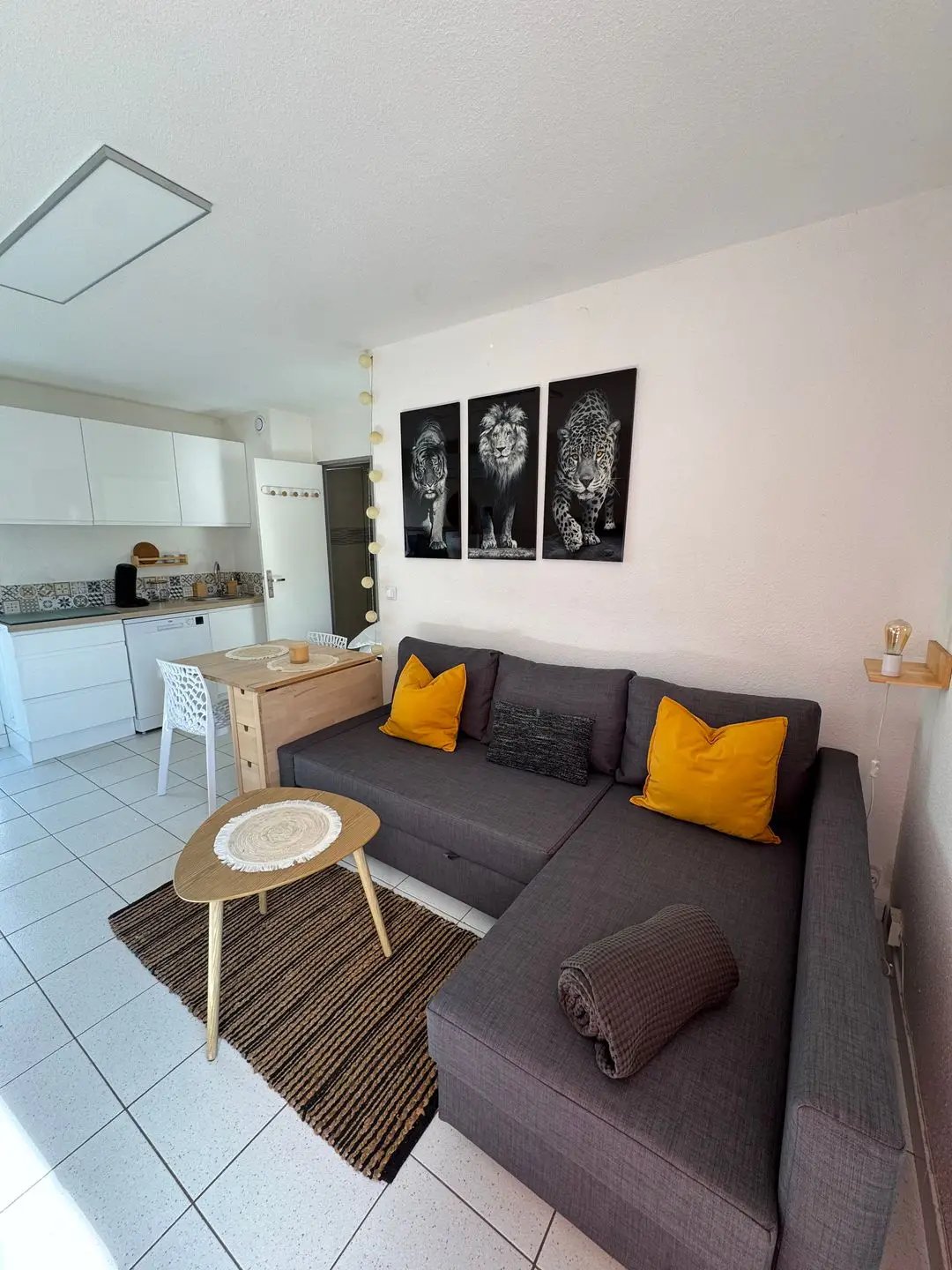 Appartement à louer, 26m², Frontignan