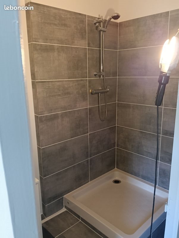 Appartement à louer, 39m², Réquista