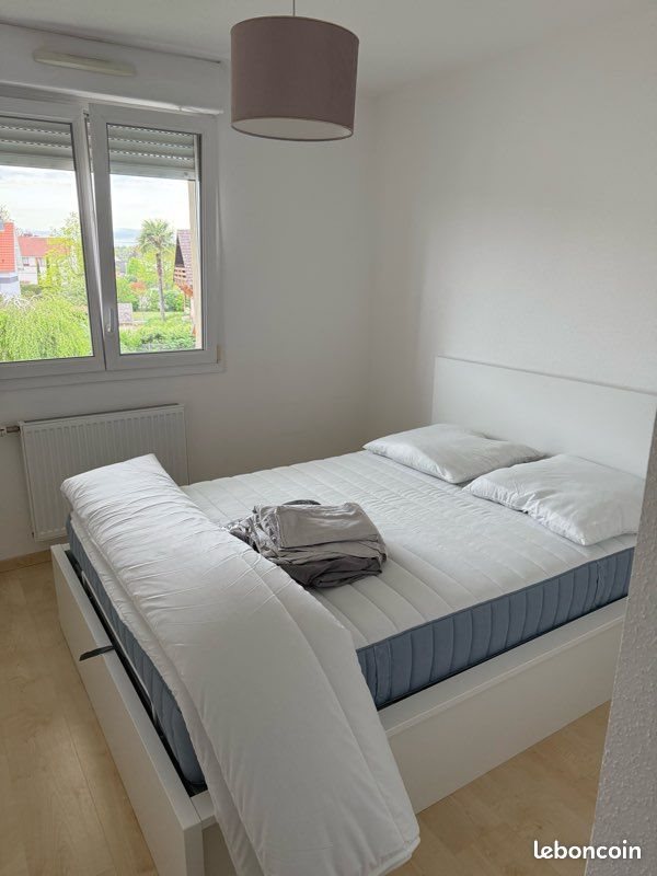 Appartement à louer, 43m², Rosenau