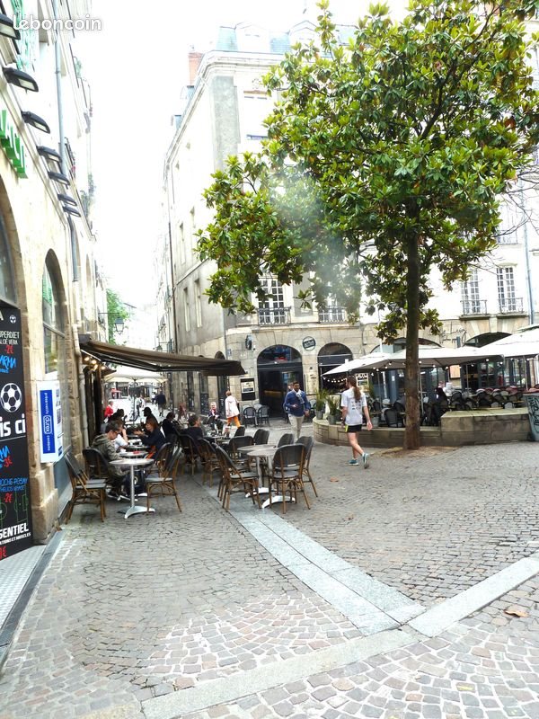 Appartement à louer, 46m², Nantes