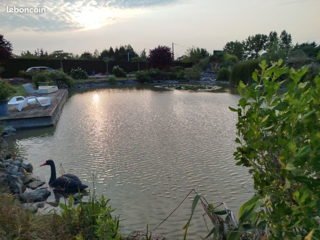 Maison à vendre, 100m², Saint-Jean-de-Monts