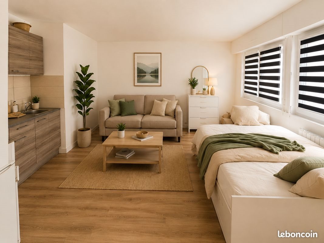 Appartement à vendre, 32m², Nancy