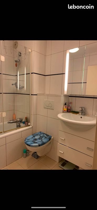Appartement à louer, 48m², Nancy