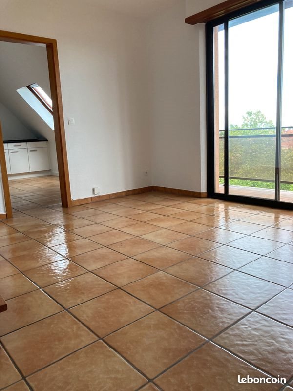 Appartement à louer, 54m², Haguenau