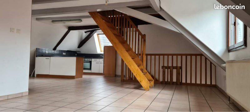 Appartement à louer, 100m², Dannemarie
