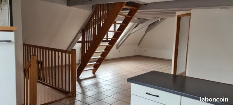 Appartement à louer, 100m², Dannemarie