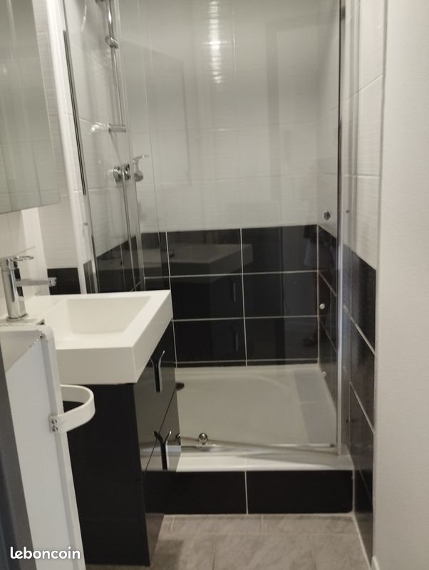 Appartement à louer, 24m², Nancy