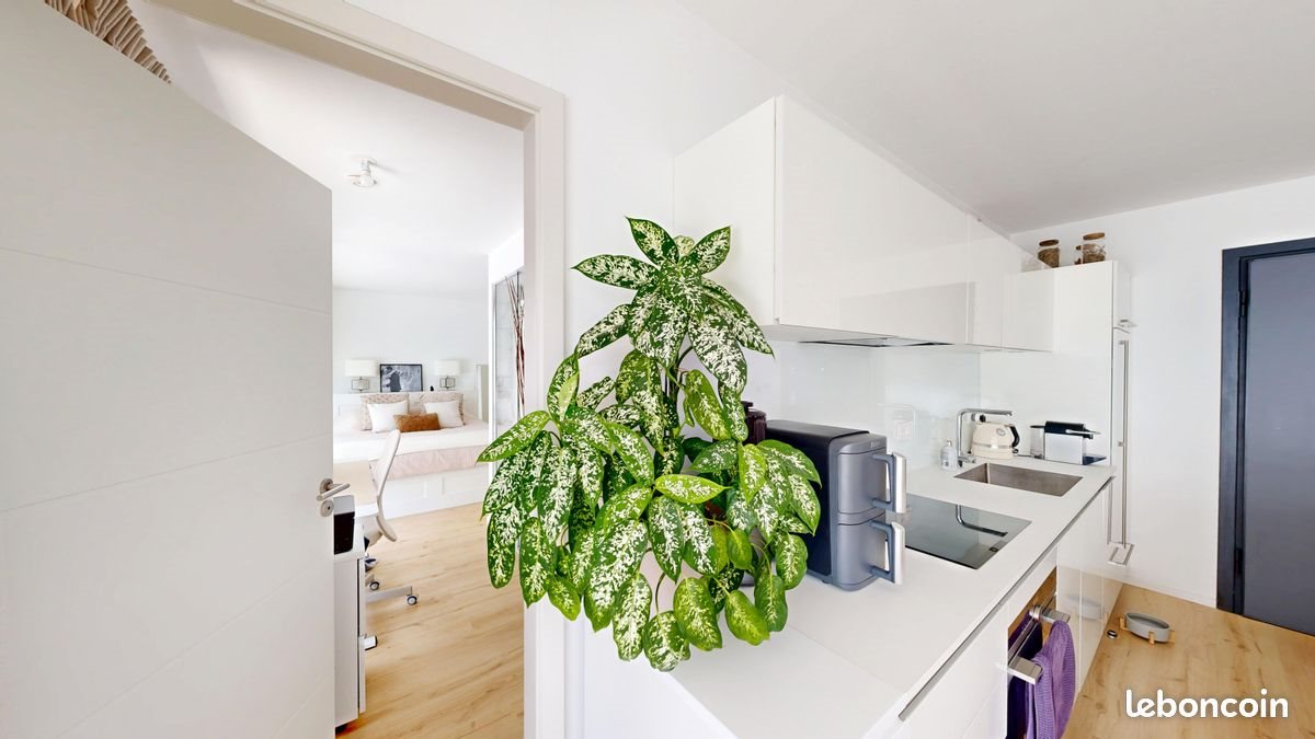 Appartement à louer, 58m², Colmar