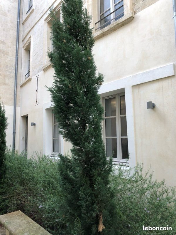 Appartement à vendre, 46m², Avignon
