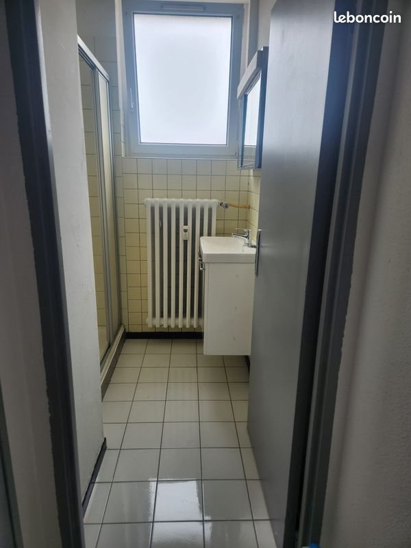Appartement à louer, 52m², Colmar