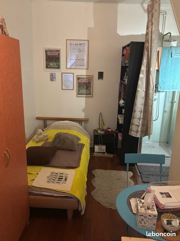 Appartement à louer, 15m², Nancy