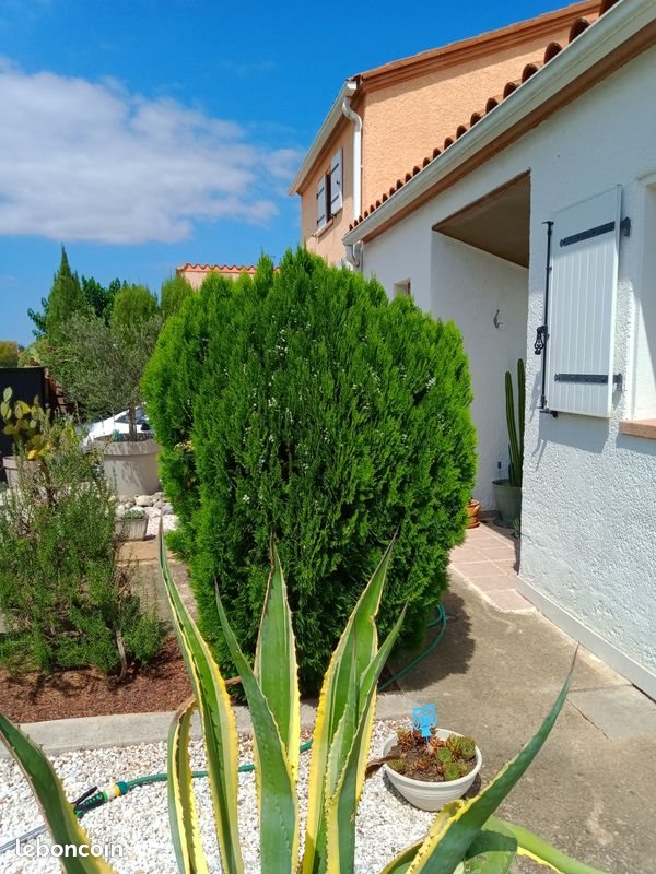 Maison à vendre, 122m², Maureillas-las-Illas