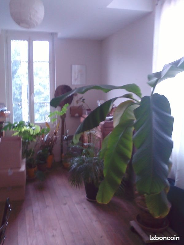 Appartement à louer, 47m², Foix