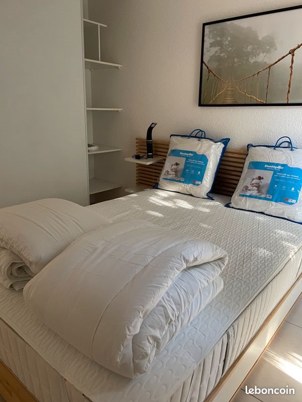 Appartement à louer, 43m², Aucamville