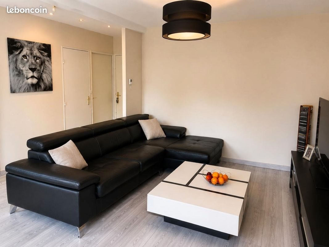 Appartement à vendre, 50m², Lyon 8ème