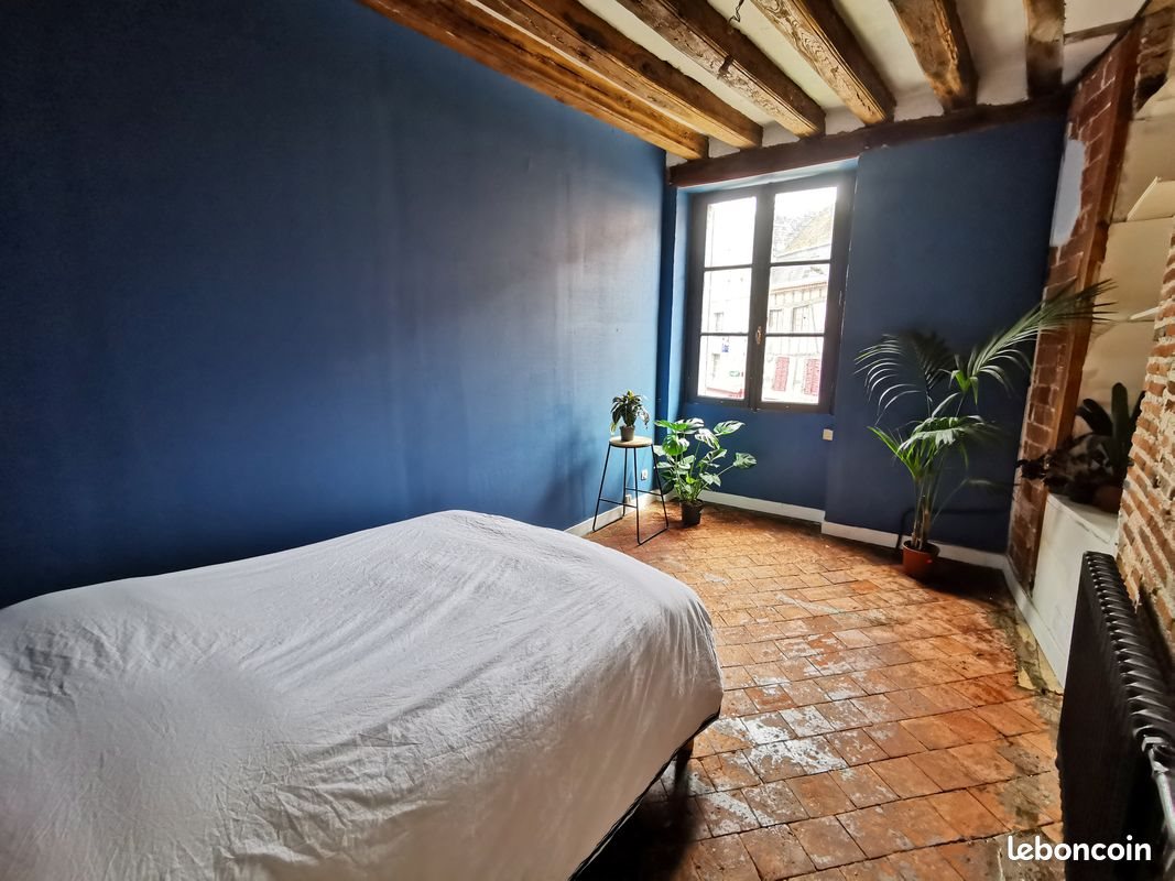 Maison à vendre, 300m², Châtillon-sur-Loire