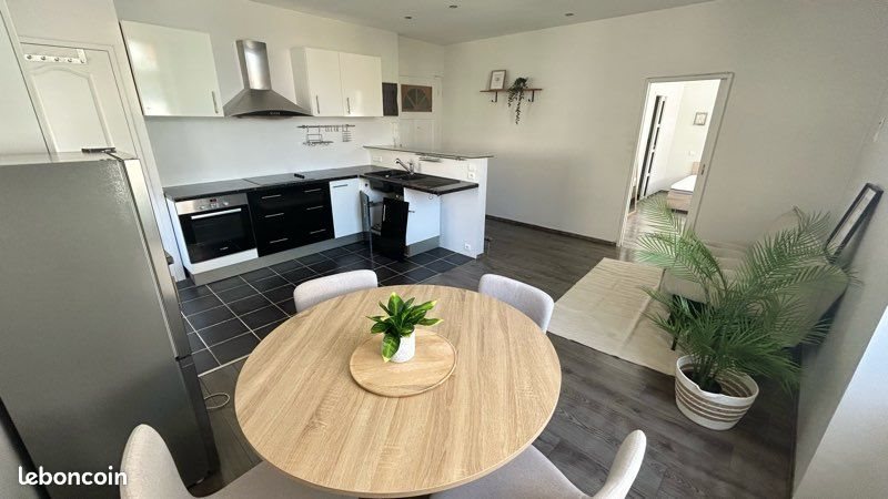 Appartement à louer, 46m², Saint-Etienne