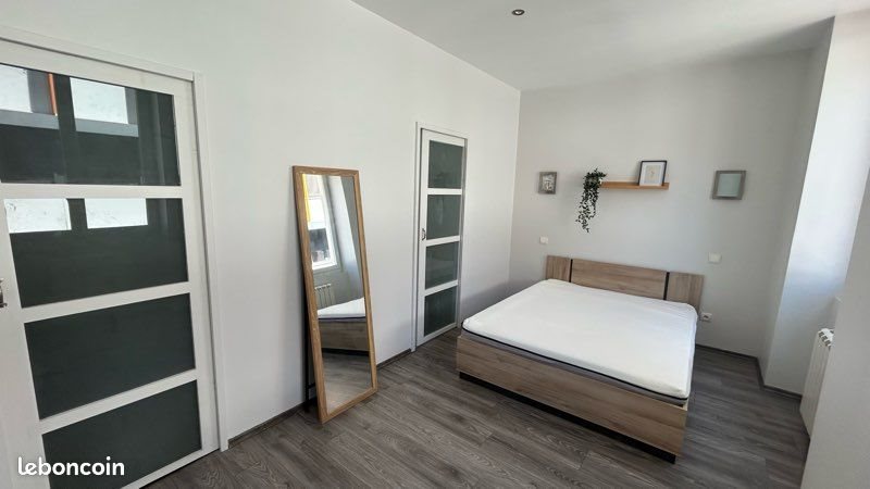 Appartement à louer, 46m², Saint-Etienne