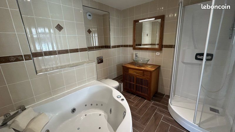 Appartement à louer, 46m², Saint-Etienne