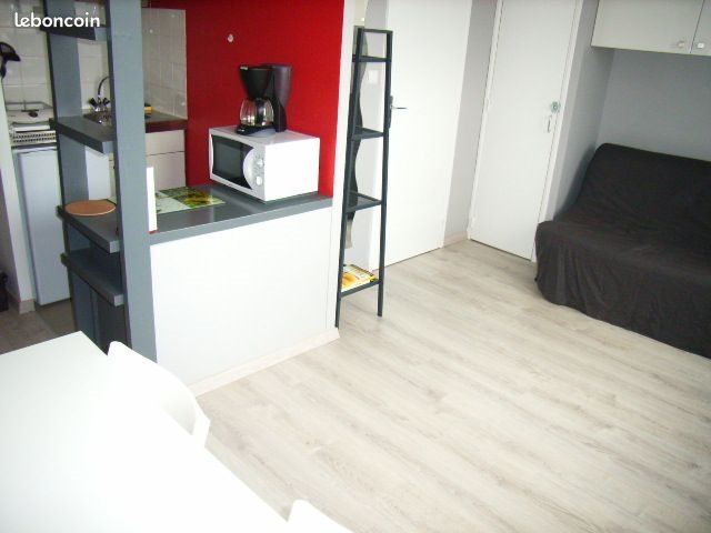 Appartement à louer, 19m², Albi