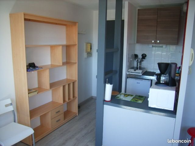 Appartement à louer, 19m², Albi